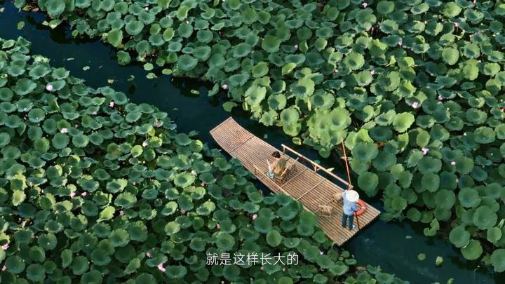 小米 · 生活总有新预期 — 画面 14