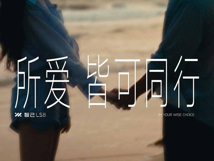 IM 智己 LS8 · 所爱皆可同行 — 画面 12